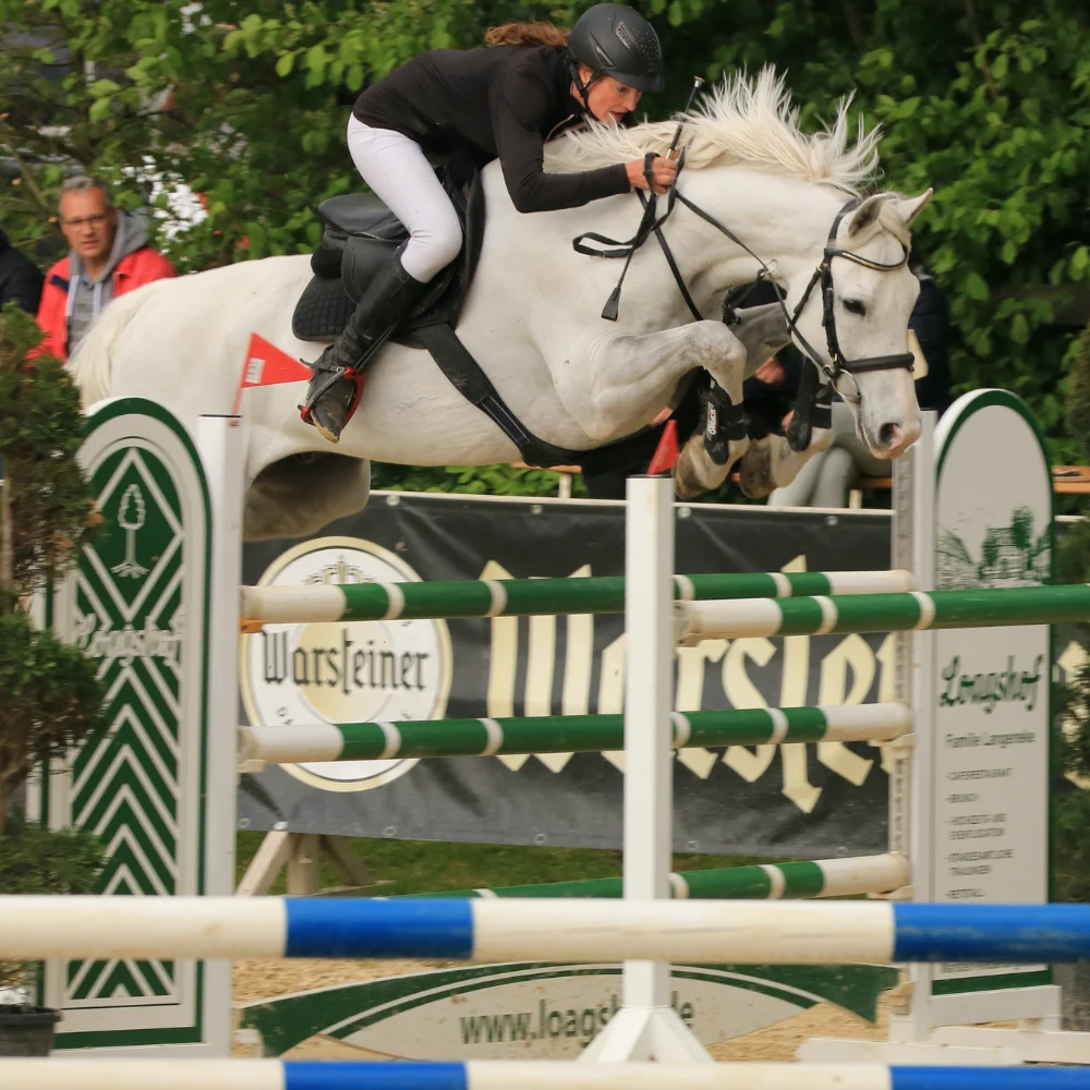 Reitturnier Niederbergheim 11