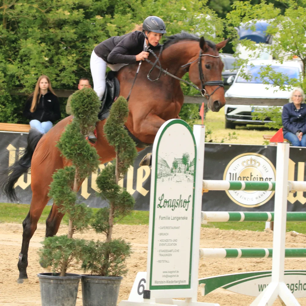Reitturnier Niederbergheim 13