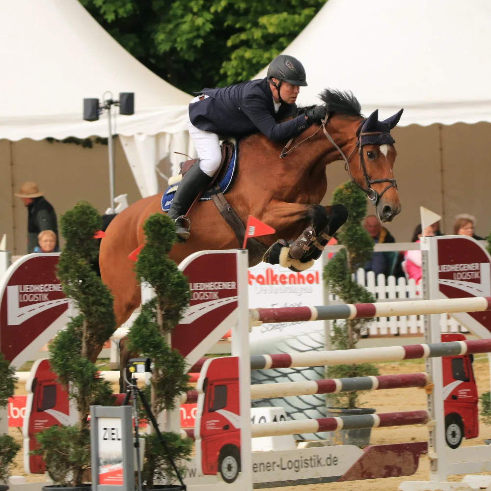 Reitturnier Niederbergheim 12