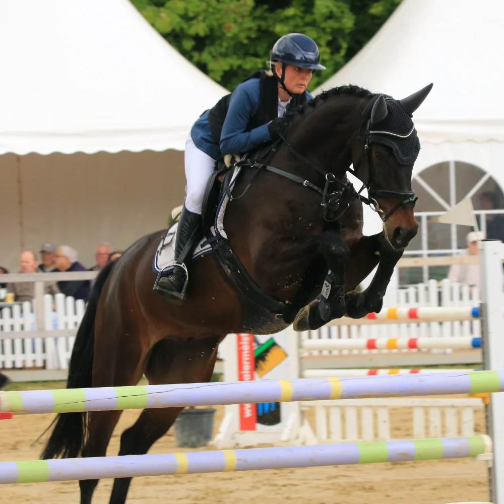 Reitturnier Niederbergheim 8