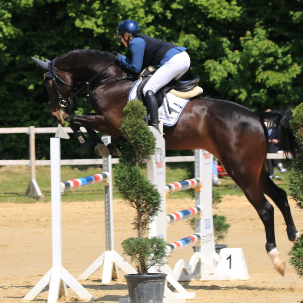 Reitturnier Niederbergheim 4